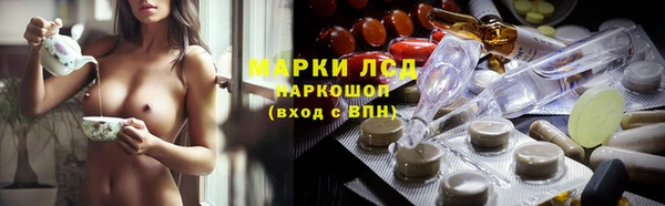 шишки Белоозёрский