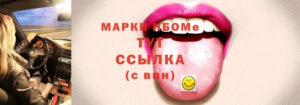 шишки Белоозёрский