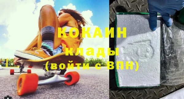 шишки Белоозёрский