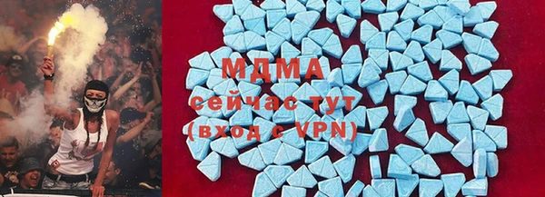 шишки Белоозёрский