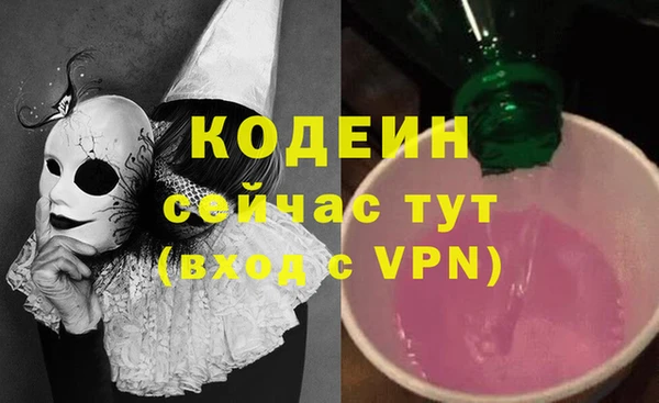 шишки Белоозёрский