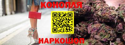 прущие грибы Бийск
