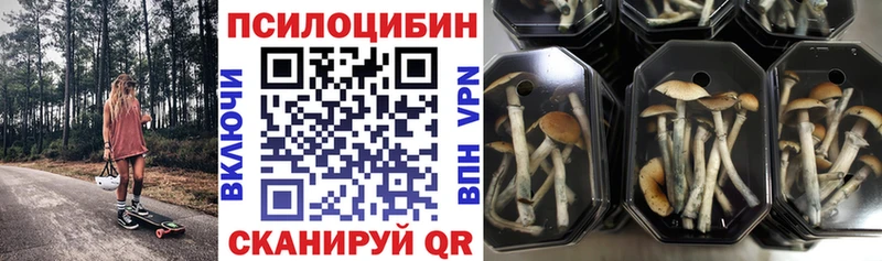 Галлюциногенные грибы Psilocybine cubensis Верхний Уфалей