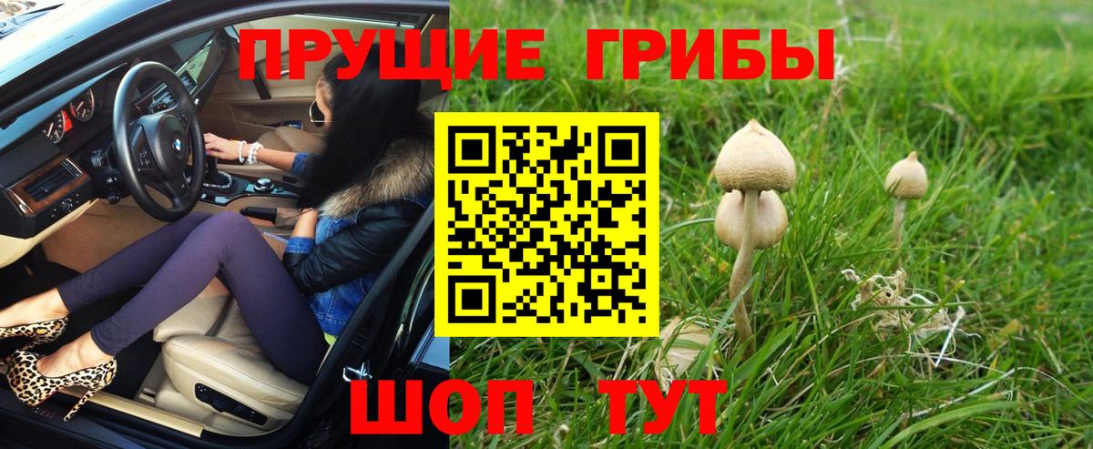 Галлюциногенные грибы мицелий Верхний Уфалей